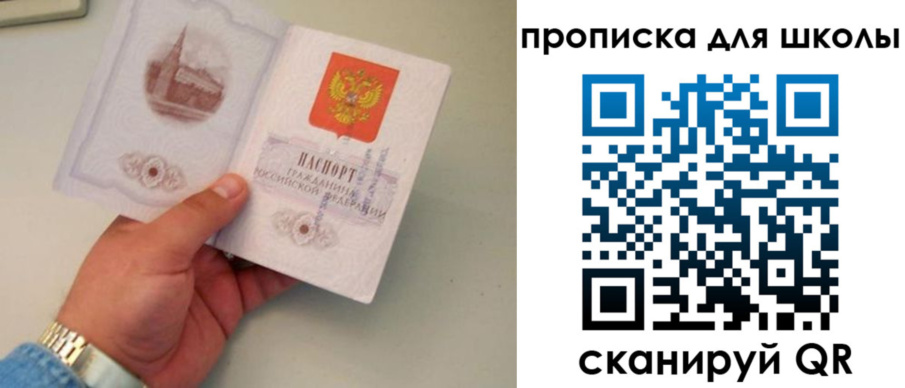 временная регистрация поиск в Павловском Посаде
